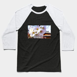 Photography - hanami at Fukuoka castle Baseball T-Shirt